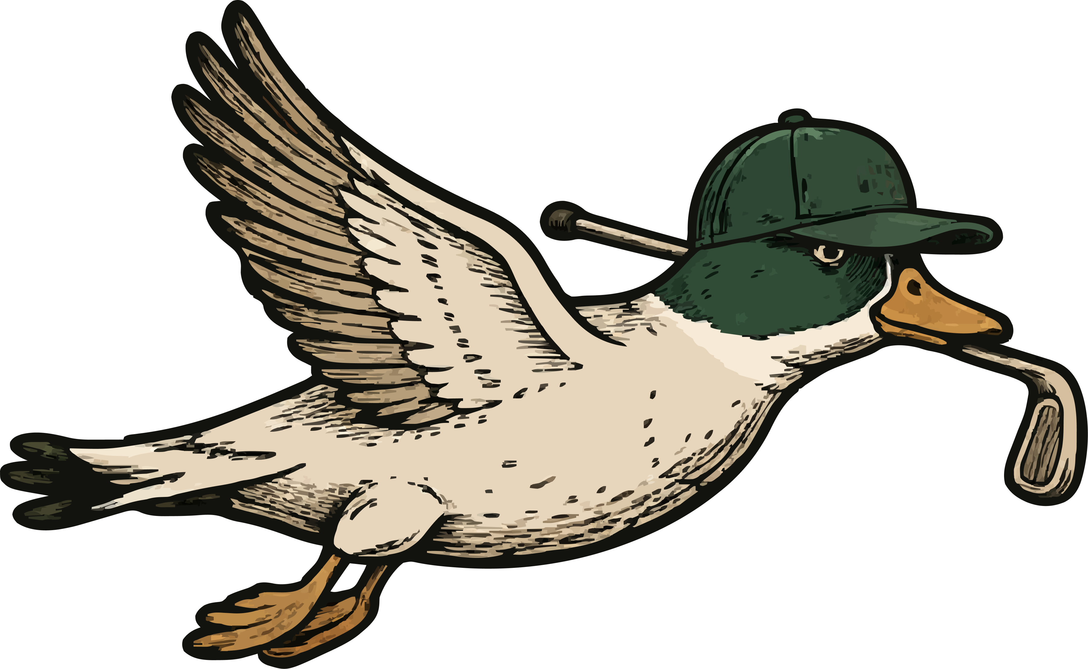 The Bird
